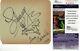 Liberace Signed Autographed Cut Signature Drawing Piano Music Legend Jsa K00919