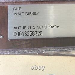 WALT DISNEY Beckett BAS Slabbed Large Autograph Cut Signature Signed